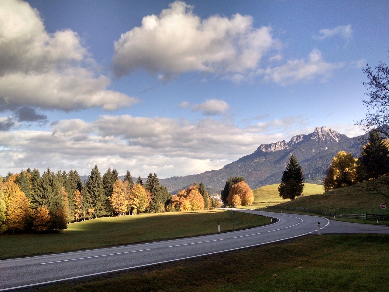 germany fall autumn free photo