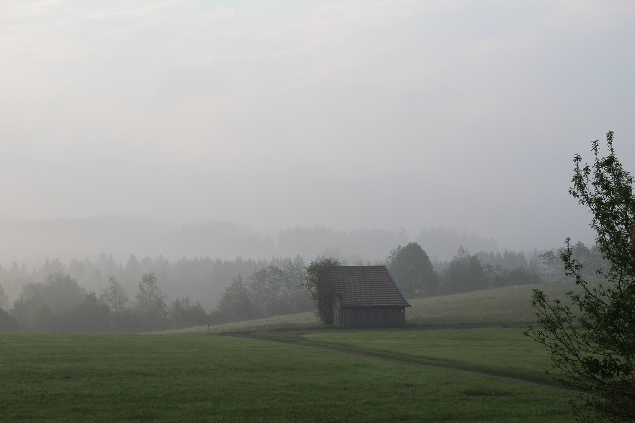 germany fog mist free photo