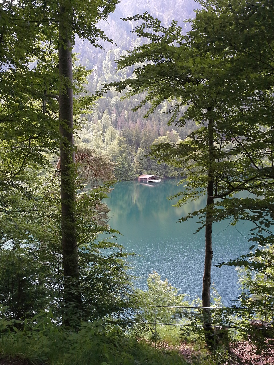 germany bavaria mountains free photo