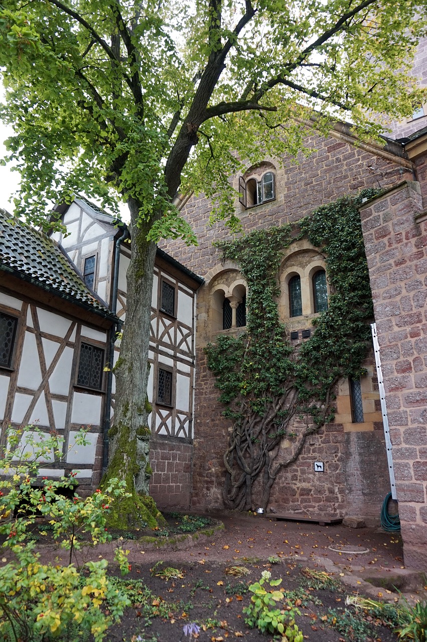 germany eisenach the fortress of wartburg free photo