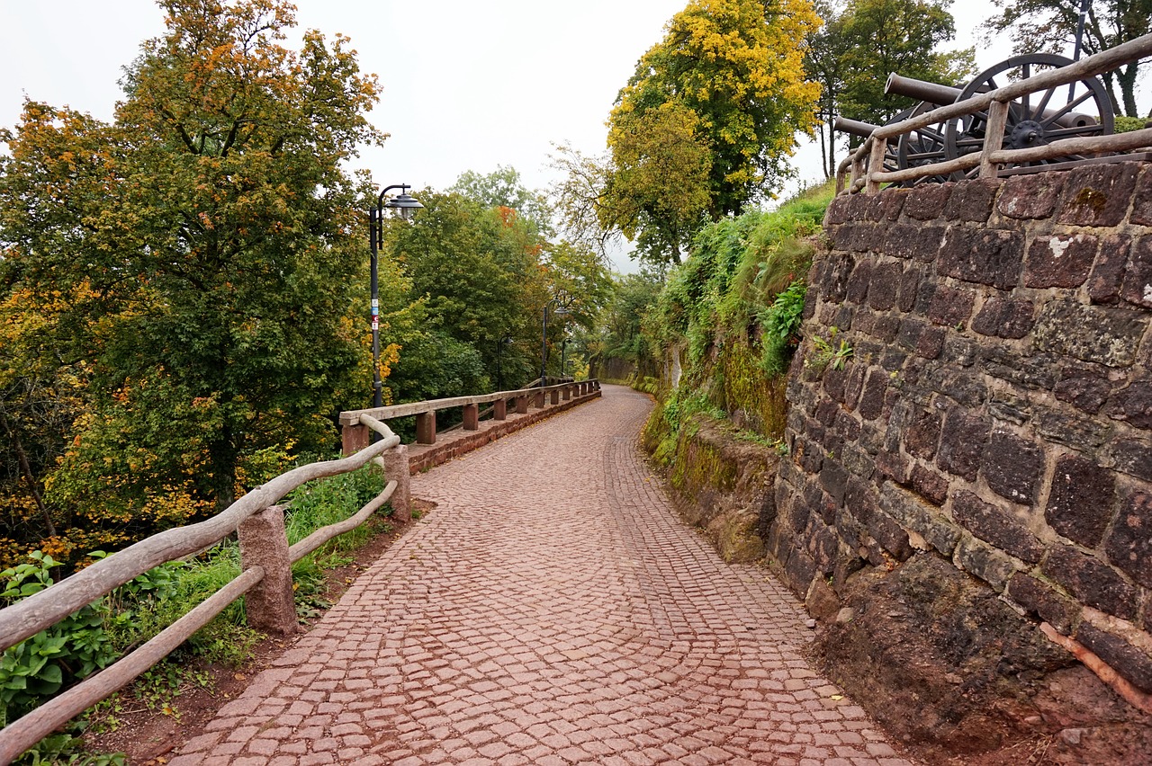 germany eisenach the fortress of wartburg free photo