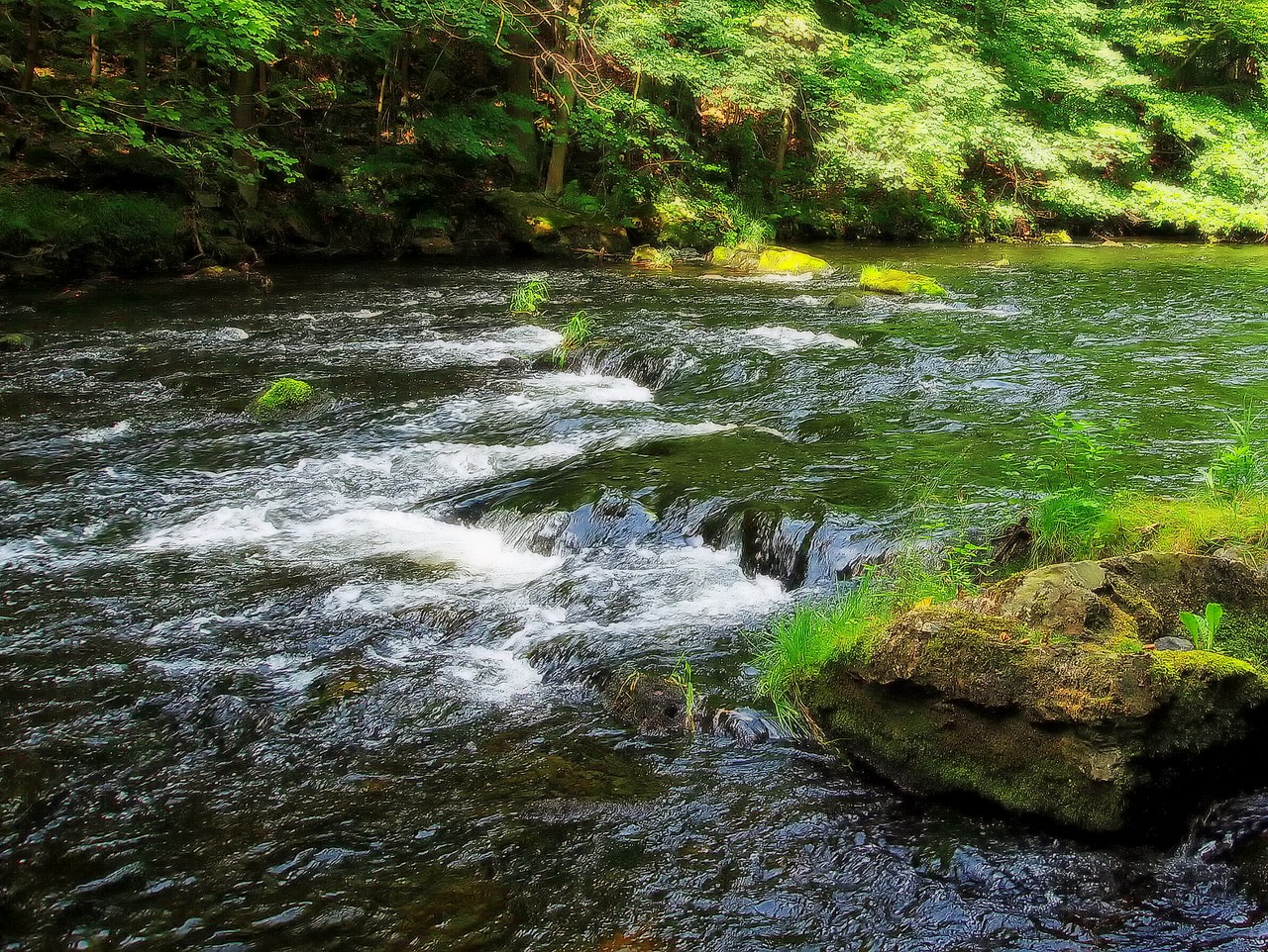 germany stream river free photo