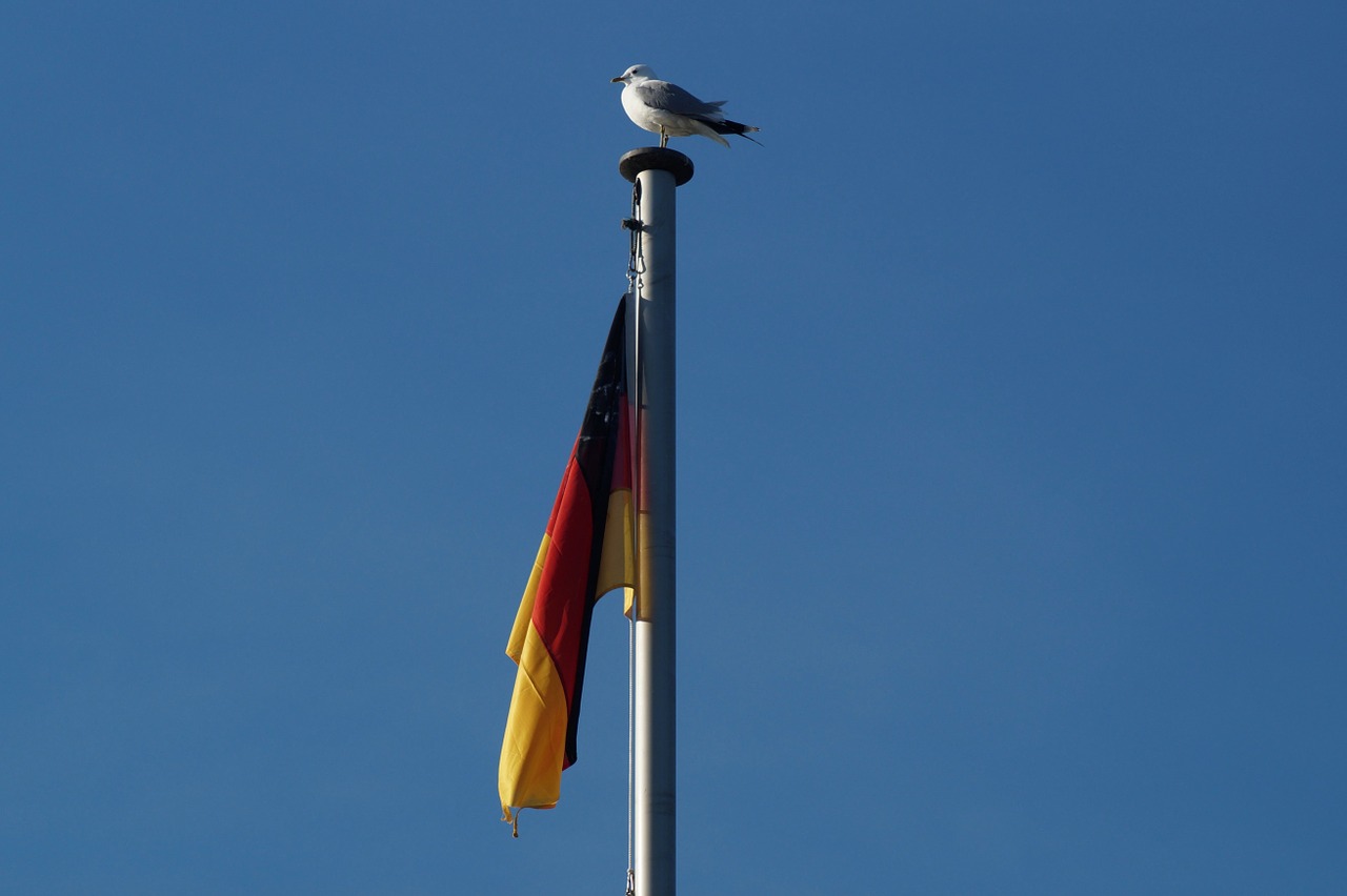 germany flag wind free photo