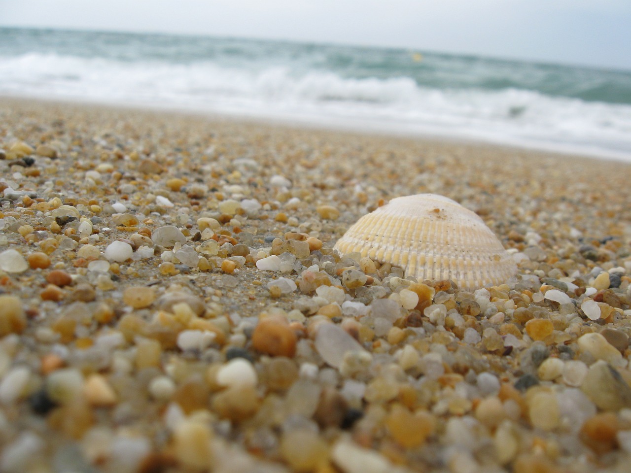 germany  baltic sea  sea free photo