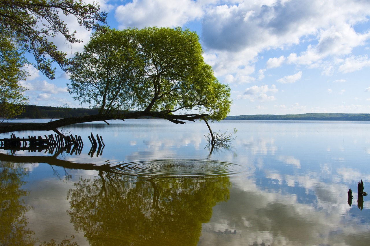 germany  neubrandenburg  mecklenburg western pomerania free photo