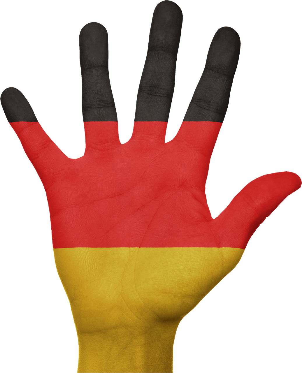 germany flag hand free photo