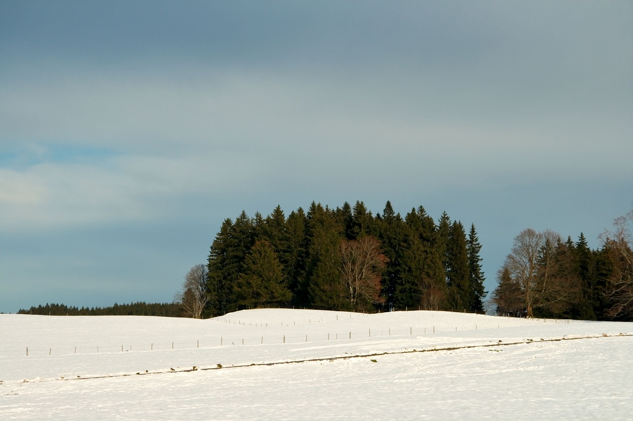 germany bavaria nature free photo