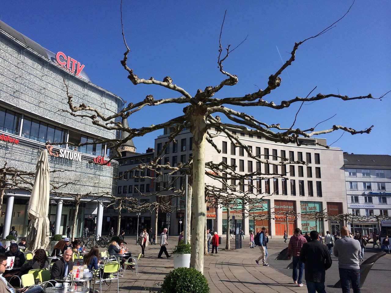 germany tree city free photo