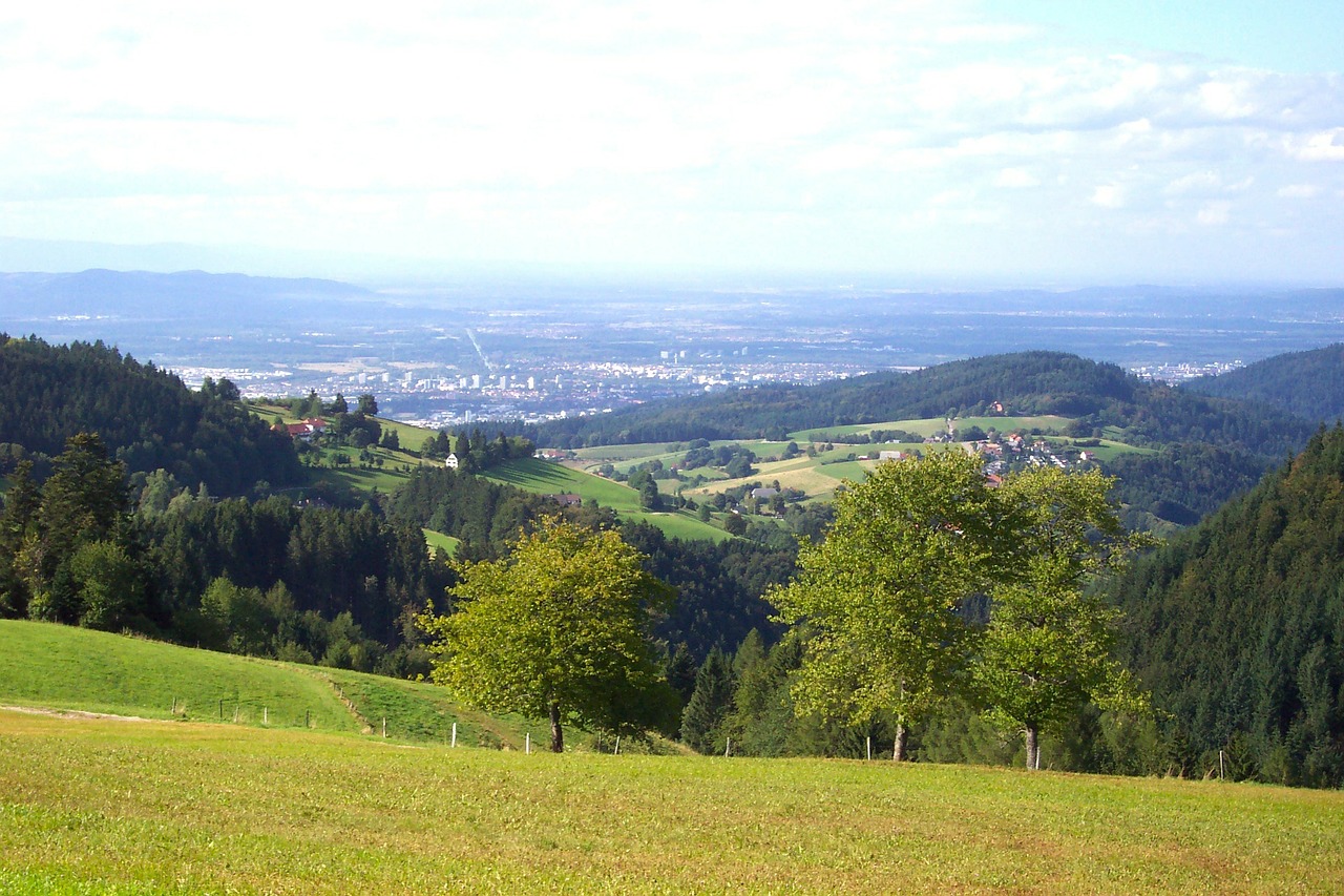 germany landscape freiburg free photo