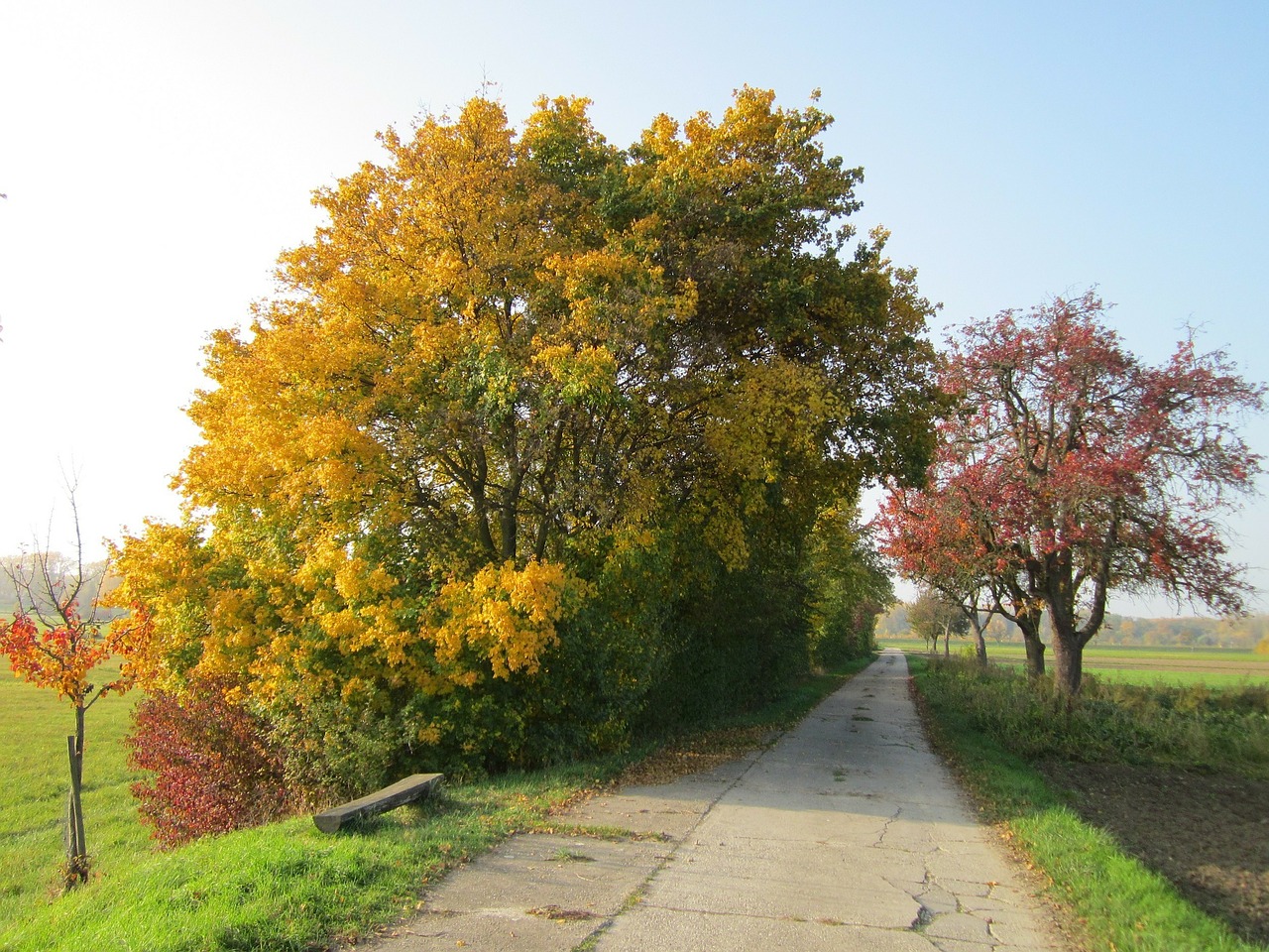 germany landscape road free photo