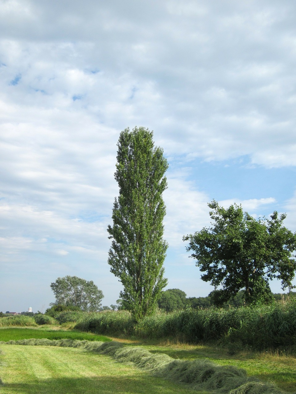 germany landscape sky free photo