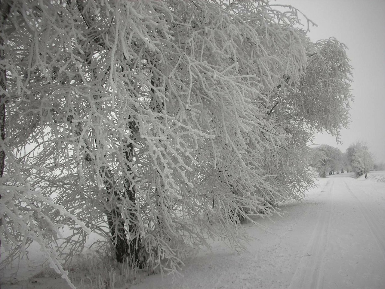 germany landscape winter free photo