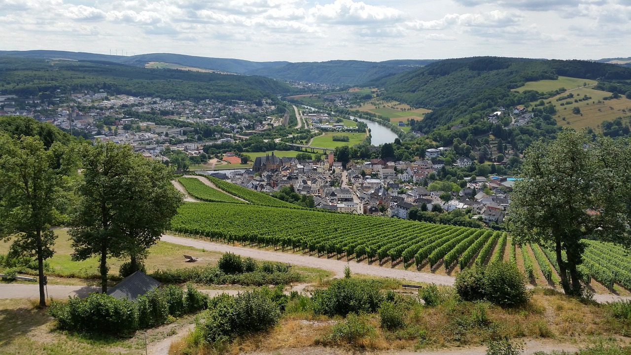 germany vineyards summer vacation free photo