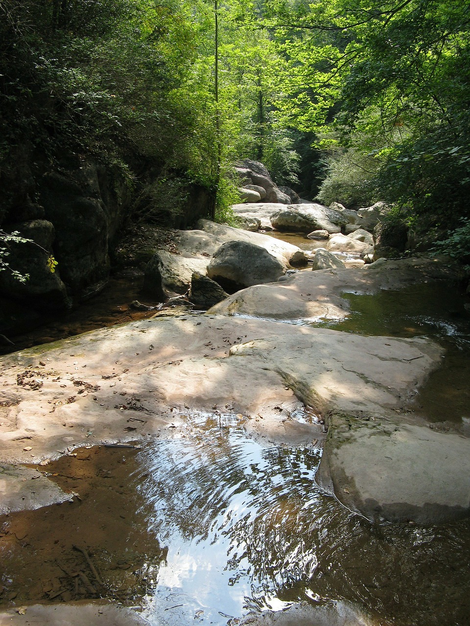 germany scenic stream free photo