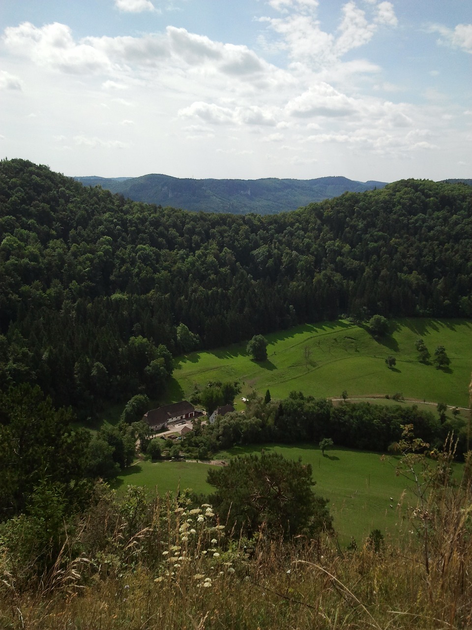 germany summer view free photo