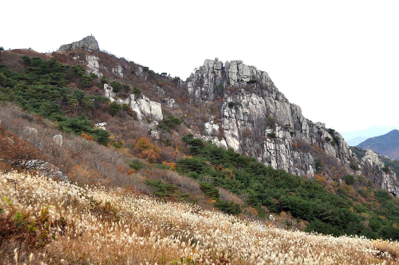 geumjung mt mountain autumn free photo