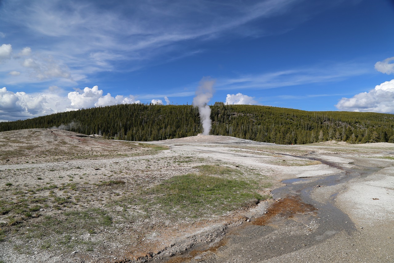 geyser yellowstone national park the scenery free photo