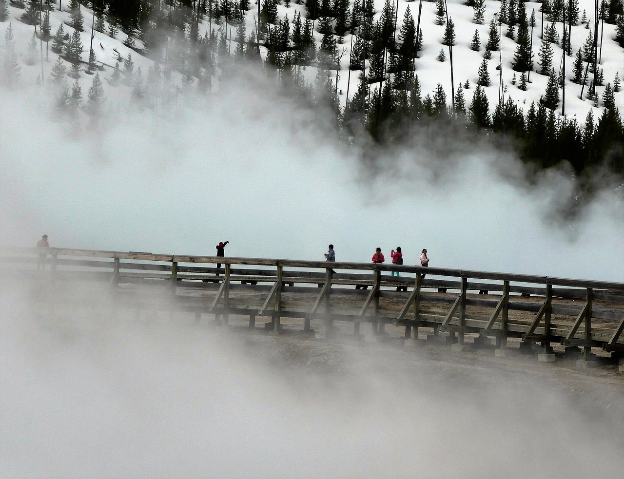 geyser usa yellowstone free photo