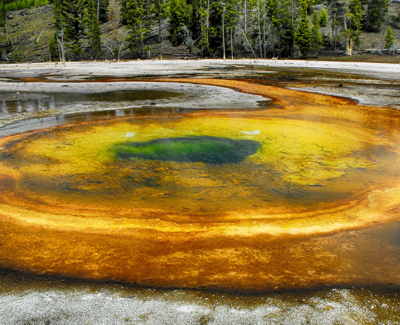 geyser national park wyoming free photo