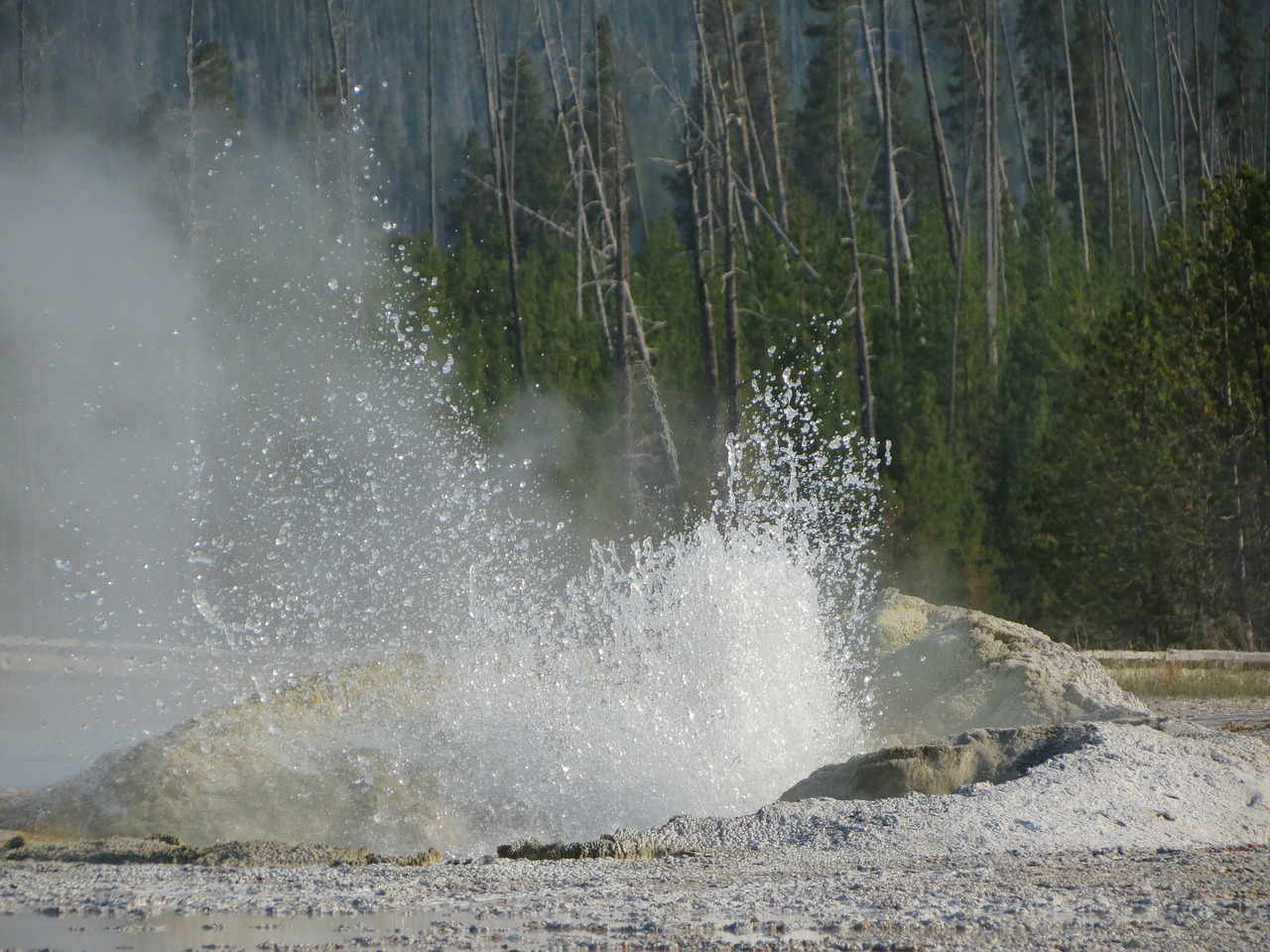 geyser thermal features yellowstone free photo