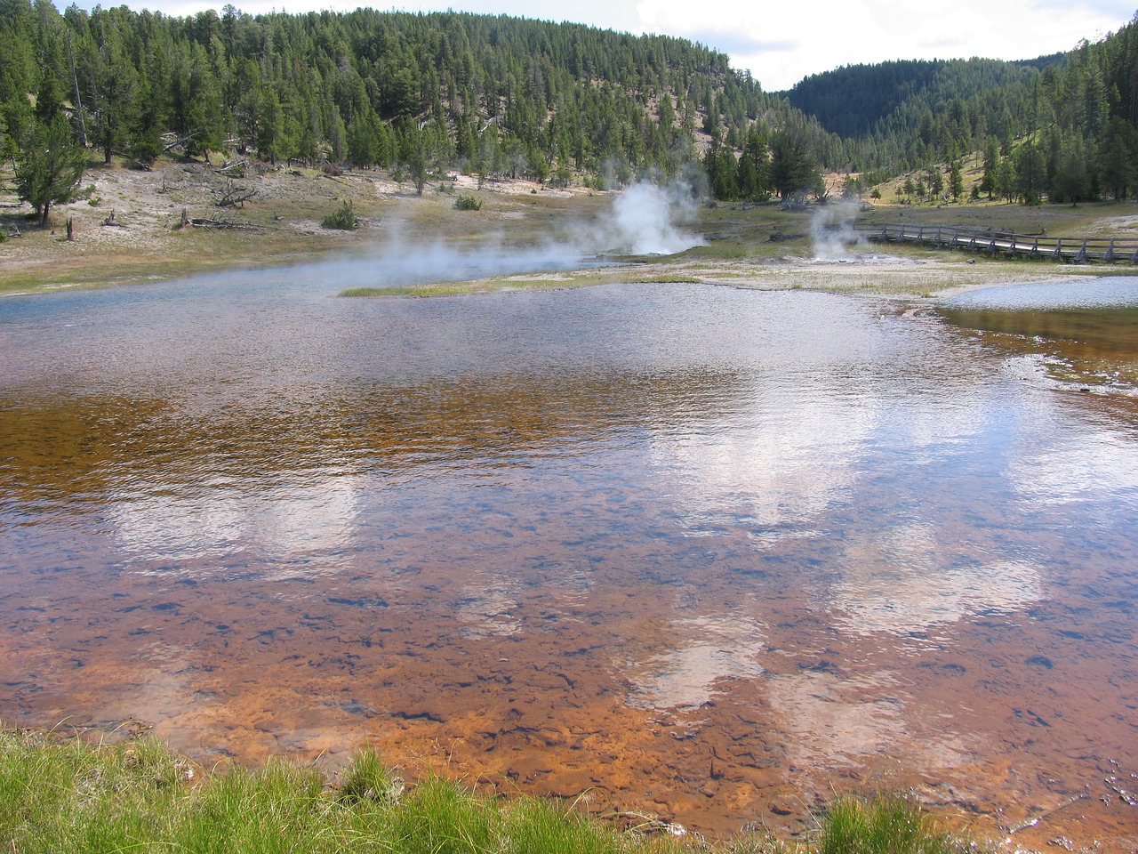 geyser nature thermal free photo