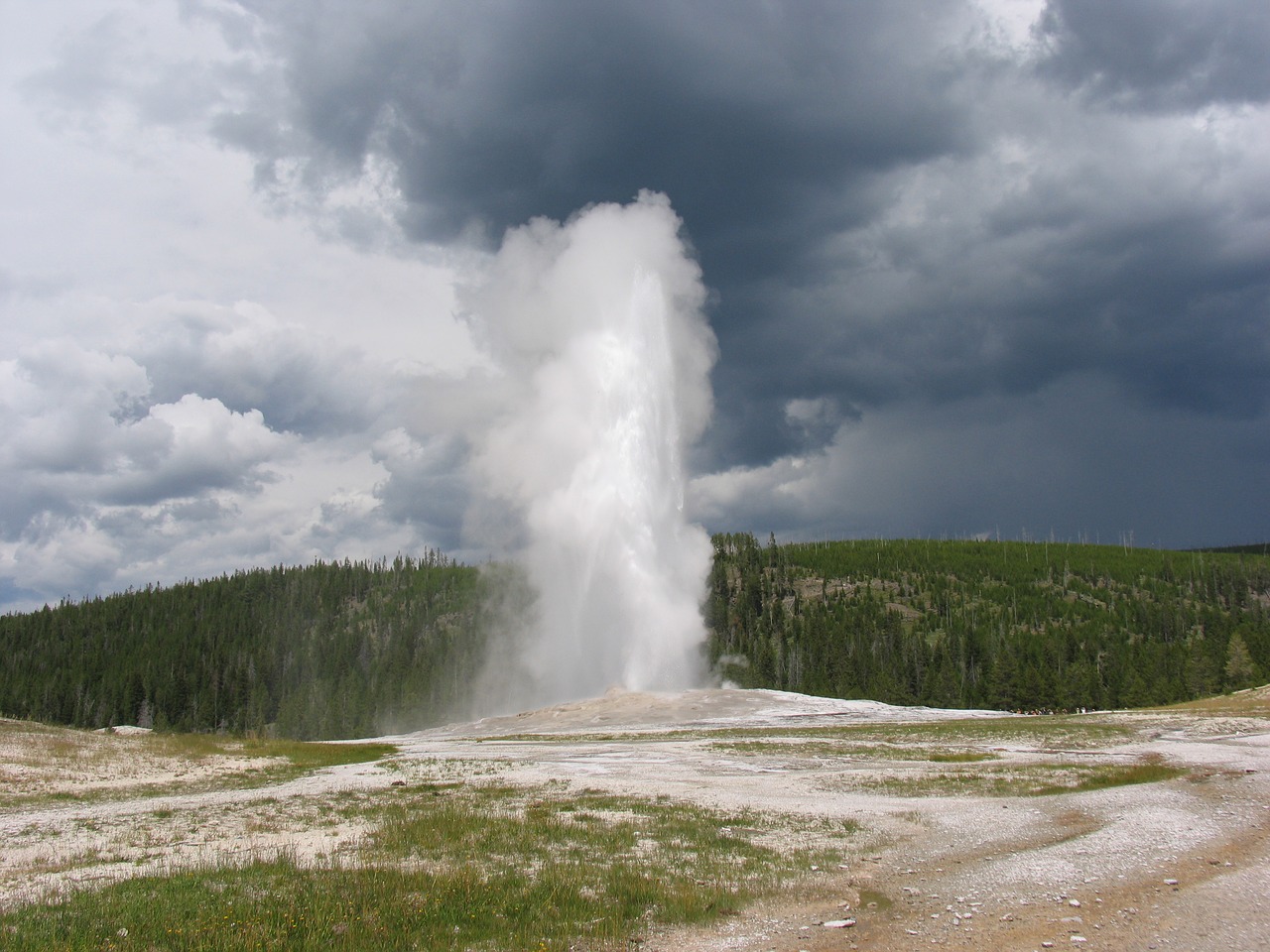 geyser yellowstone old free photo