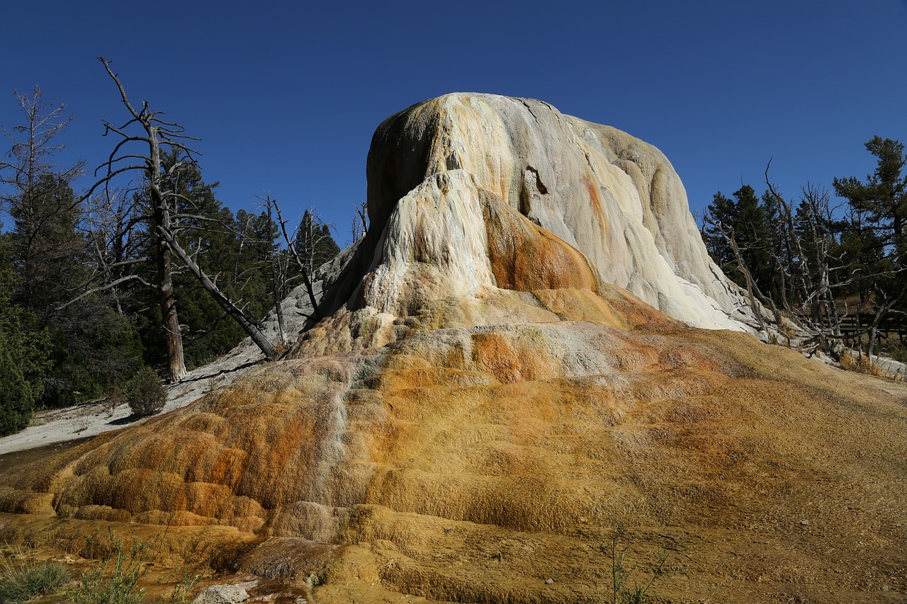 geyser yellowstone usa free photo