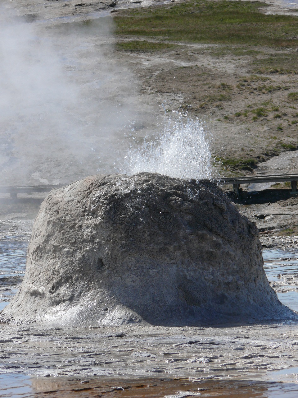 geyser beehive geyser yellowstone national park free photo