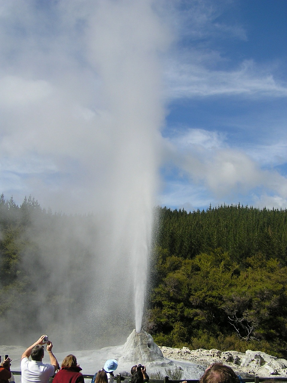 geyser new zealand steam free photo