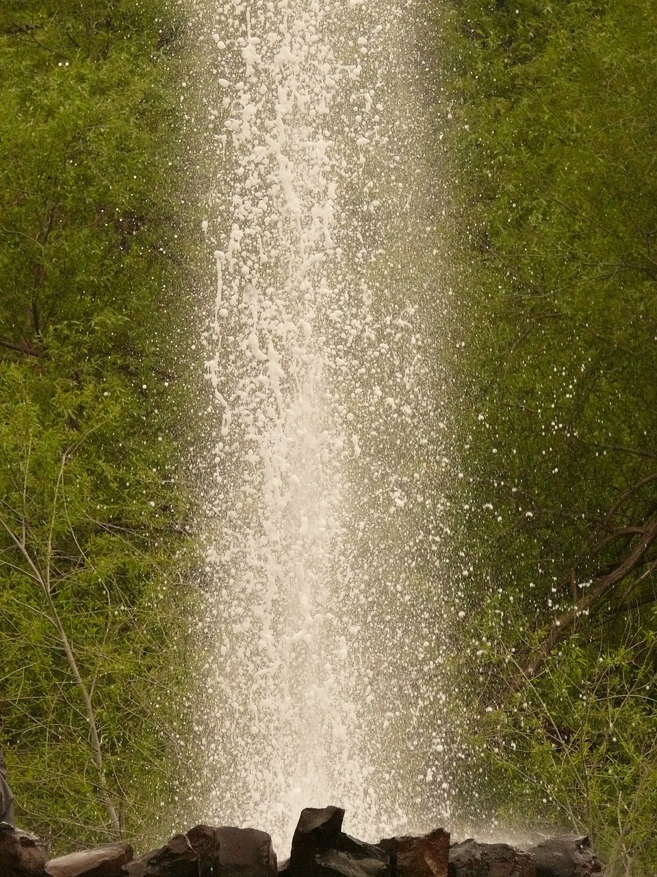geyser volcanism water column free photo