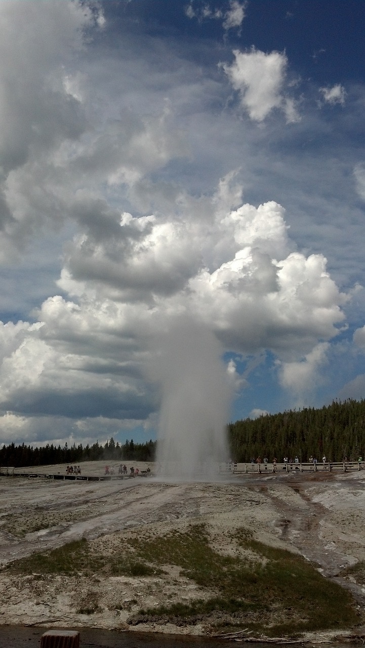 geyser  yellowstone  wyoming free photo