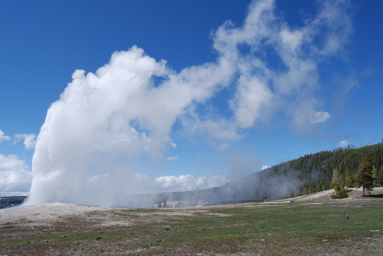 geyser yellowstone national free photo
