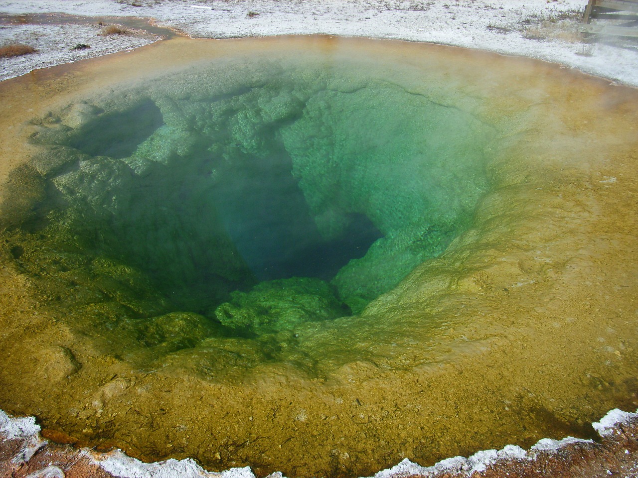 geyser yellowstone national park free photo