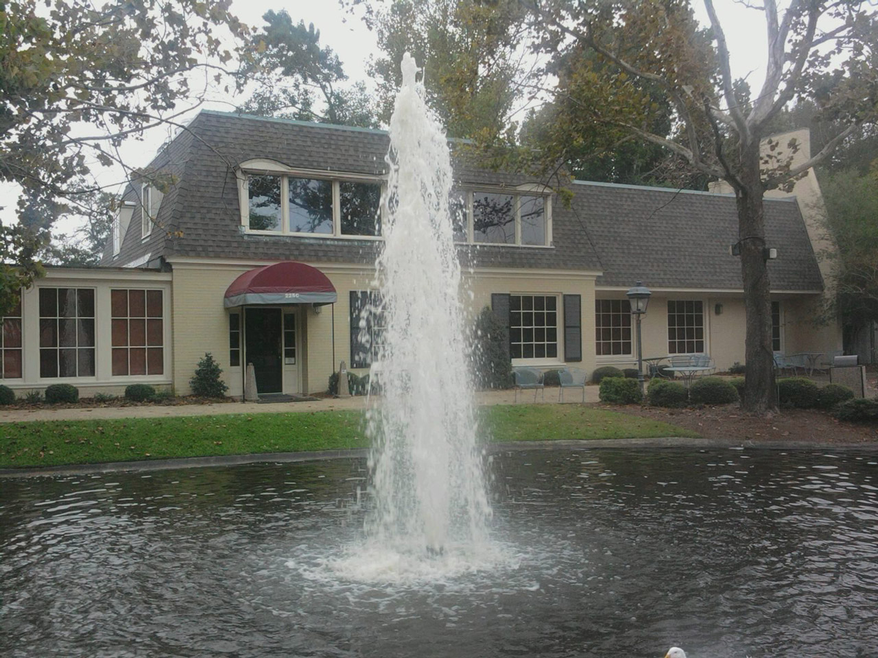 geyser water pond free photo