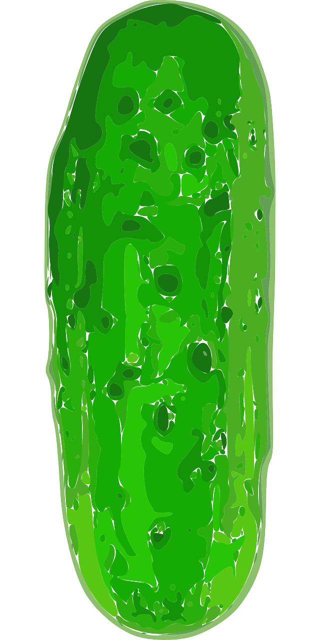 gherkin cucumber green free photo