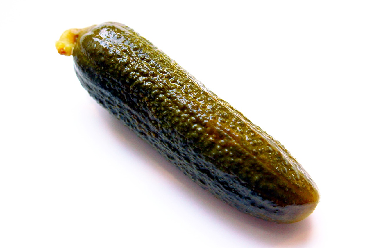 gherkin  pickle  vegetable free photo