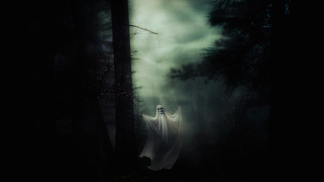 ghost spirit halloween free photo