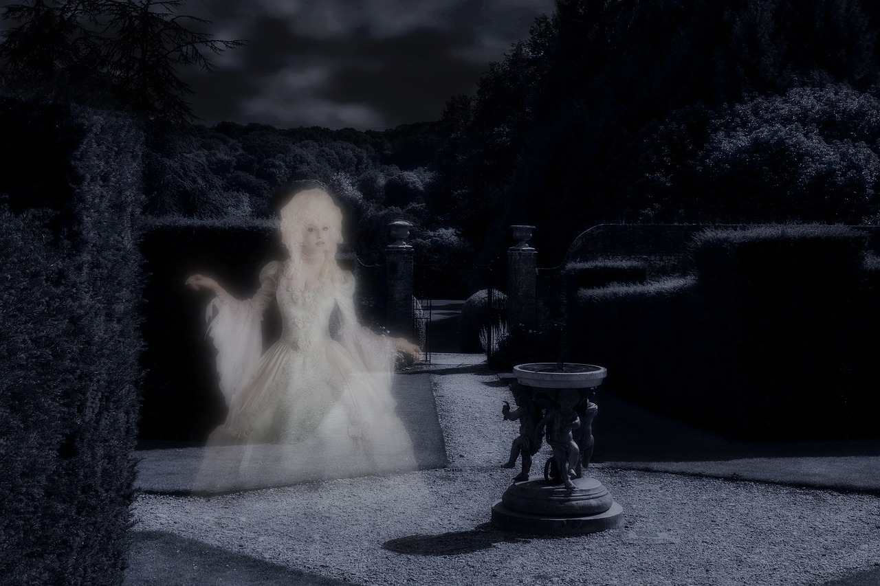 ghost  apparition  creepy free photo