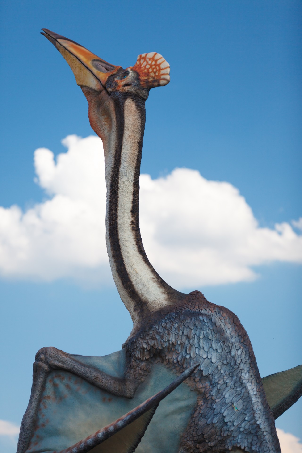paleontology huge quetzalcoatlus free photo