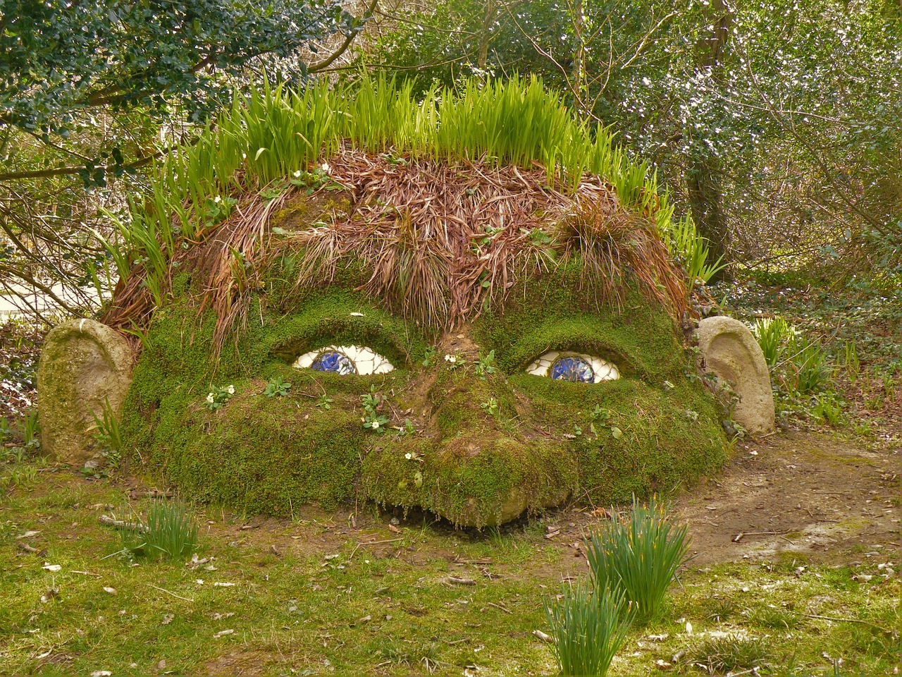 giant's head lost gardens of heligan cornwall free photo