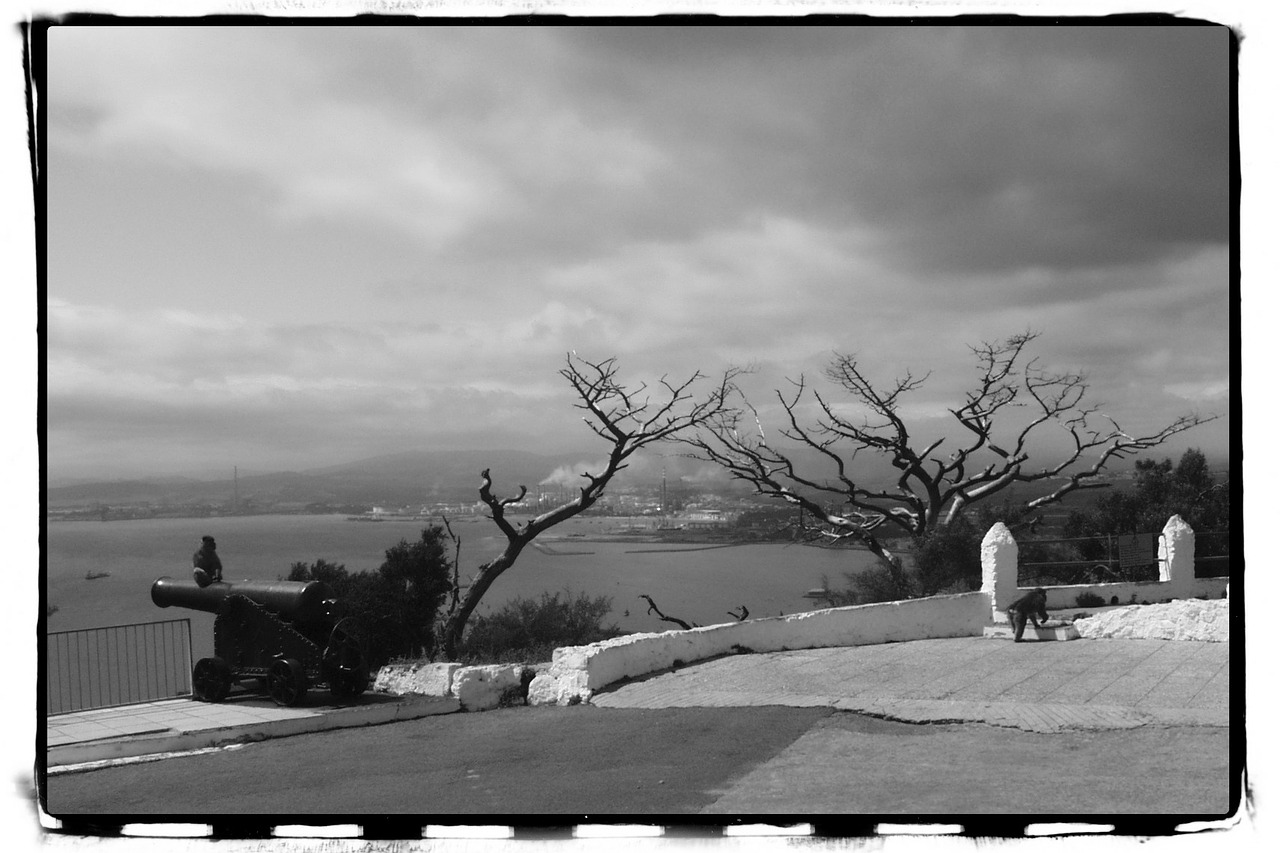 gibraltar black and white cannon free photo