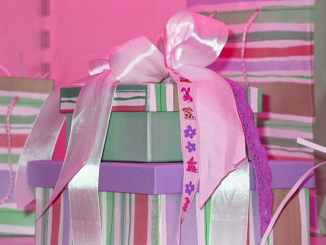 gift packed surprise free photo