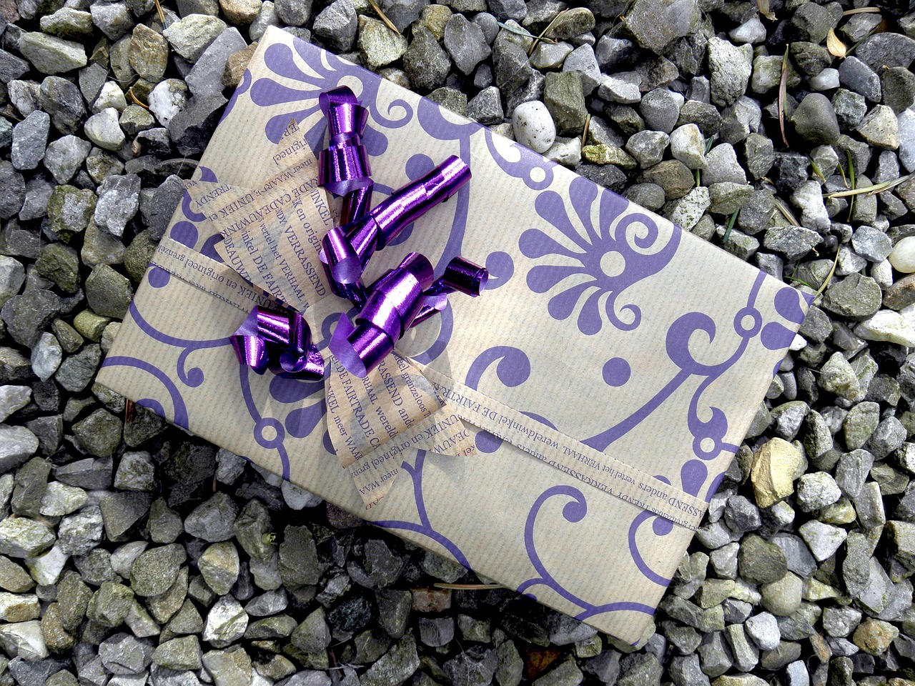 gift gift wrap gift box free photo