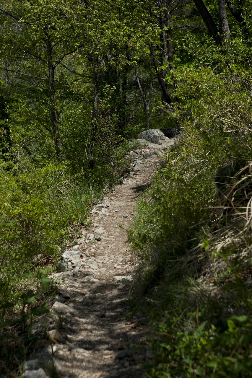 gil mountain trail tracking free photo