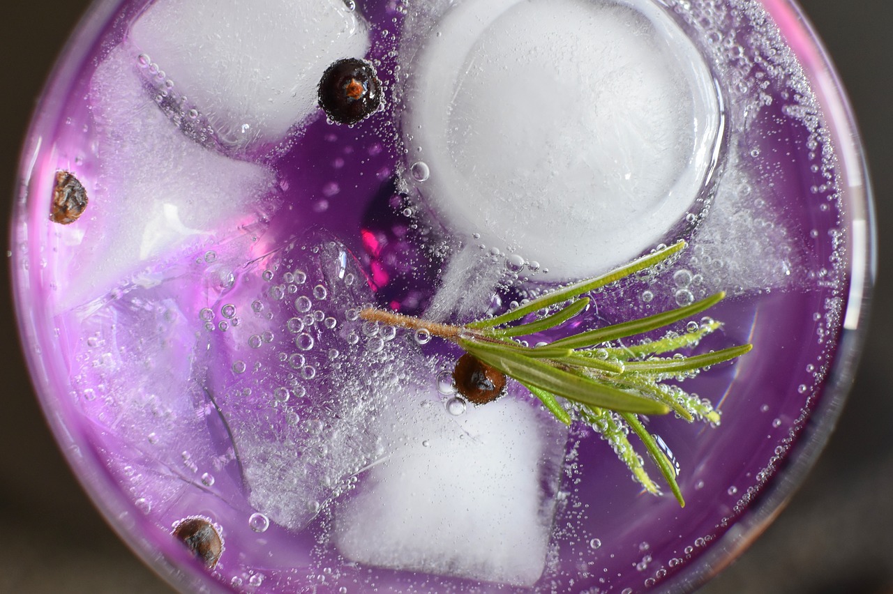 gin tonic alcohol glass free photo