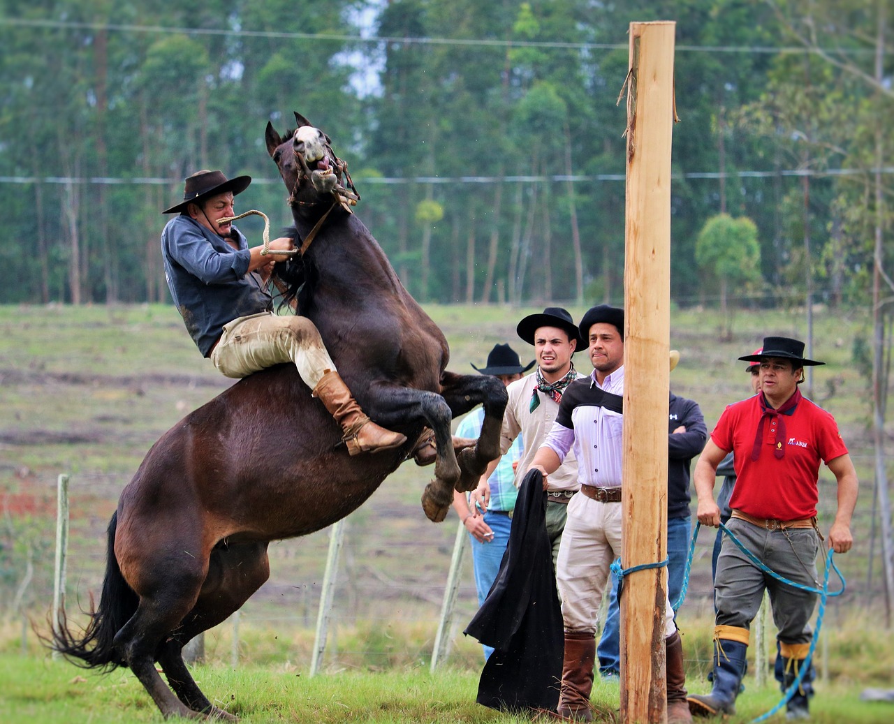 gineteada a style gaucho to ride horses free photo