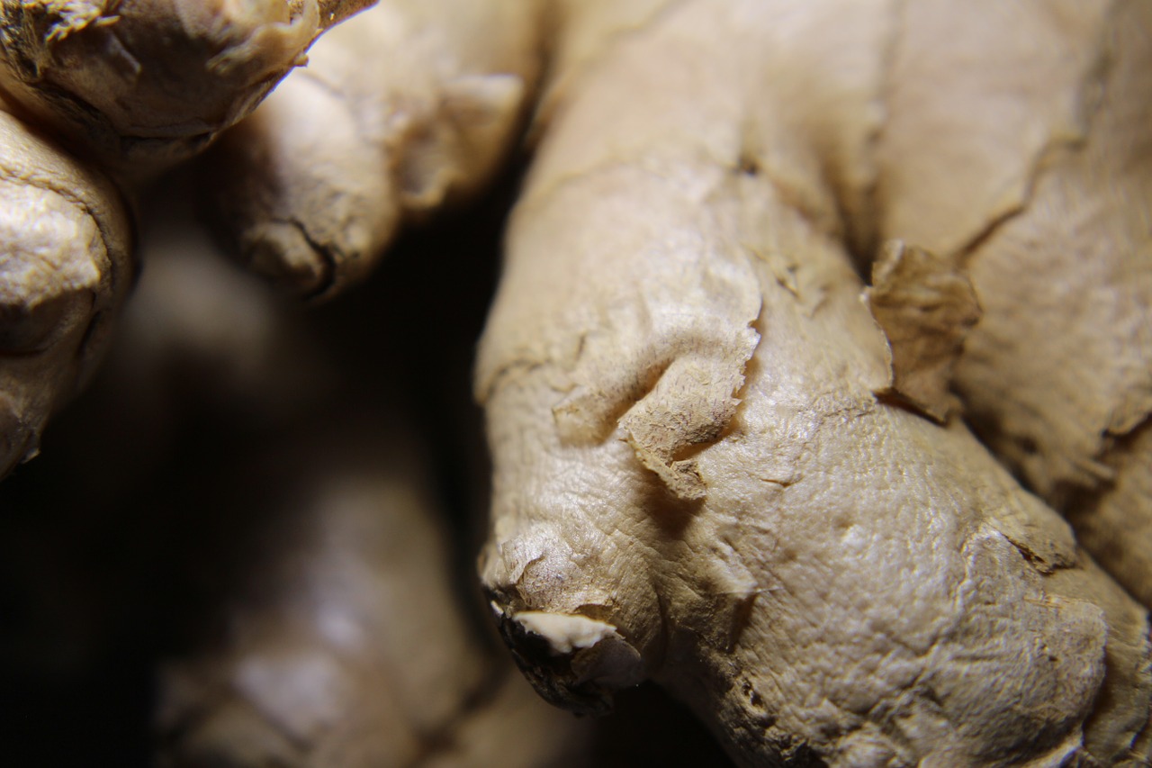 ginger close healthy free photo