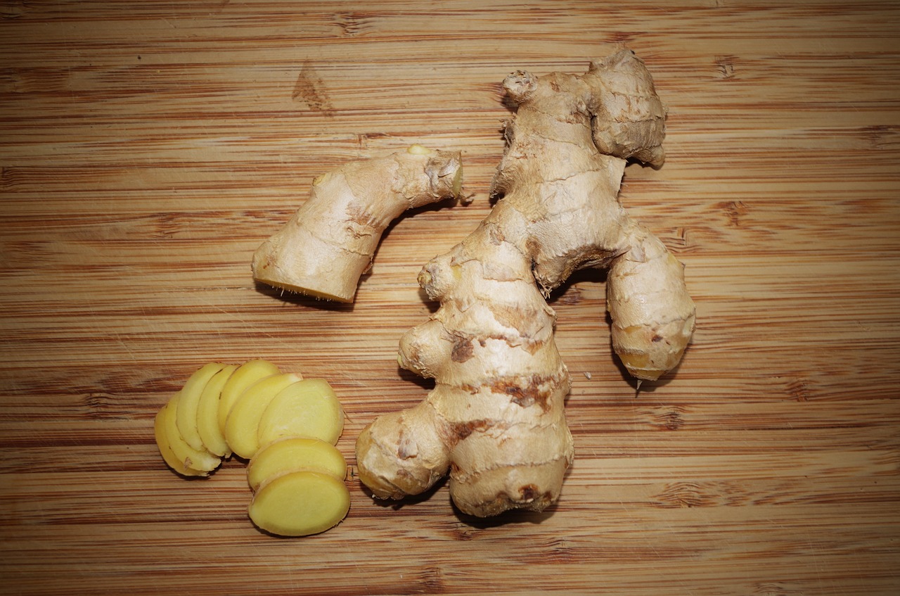 ginger the root of the pepper free photo