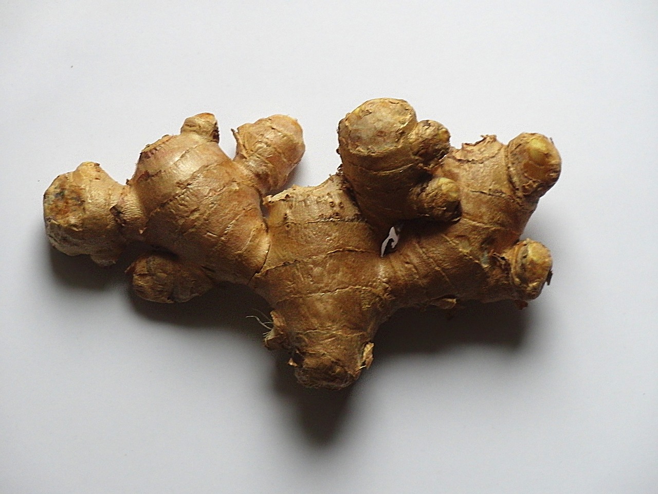 ginger ginger root cure free photo
