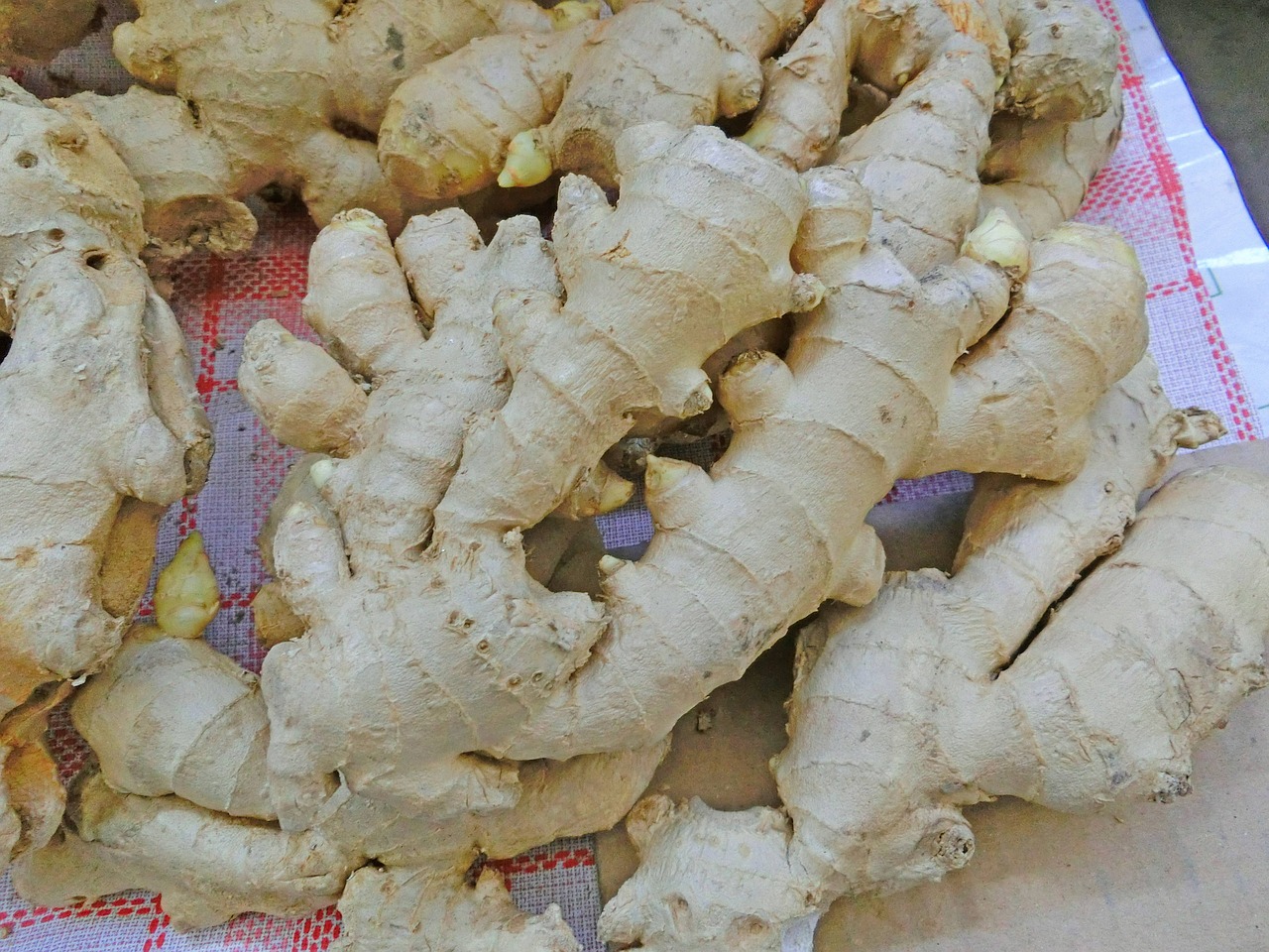 ginger healthy root free photo